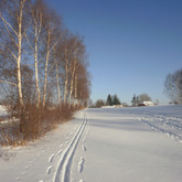 Trails at the Roubenka