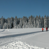 Langlauf im Böhmerwald