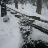 Pramen Vltavy v zimě